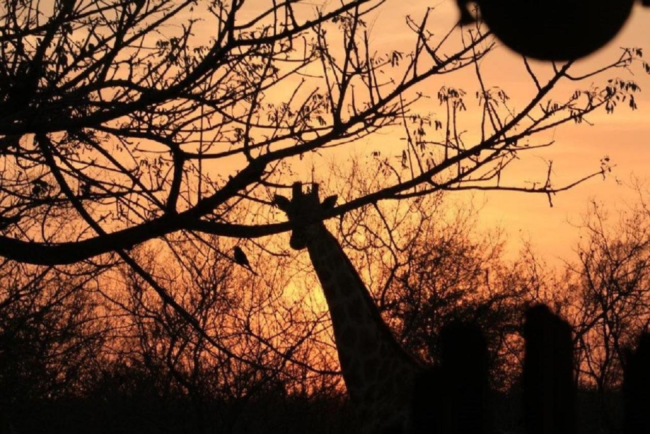 Bushvilla Umoja Kruger Phalaborwa Dış mekan fotoğraf